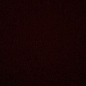 Meet your Posher, Gavin